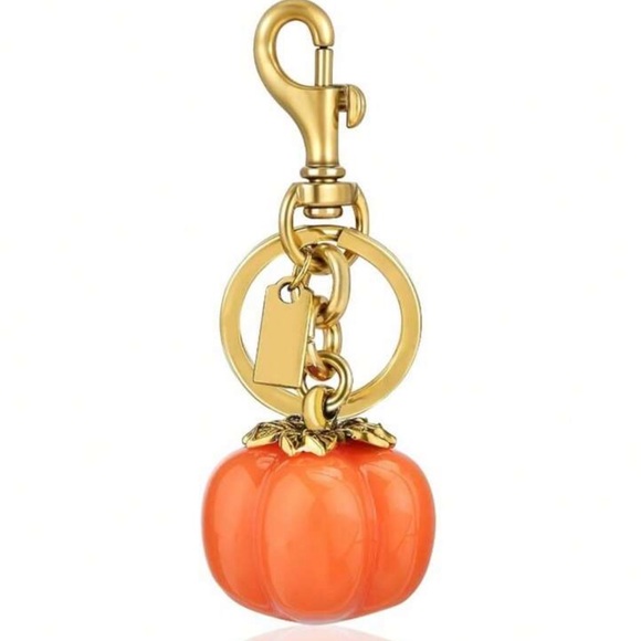 Accessories - Pumpkin bag, charm key ring